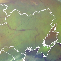 Low land surface temperatures